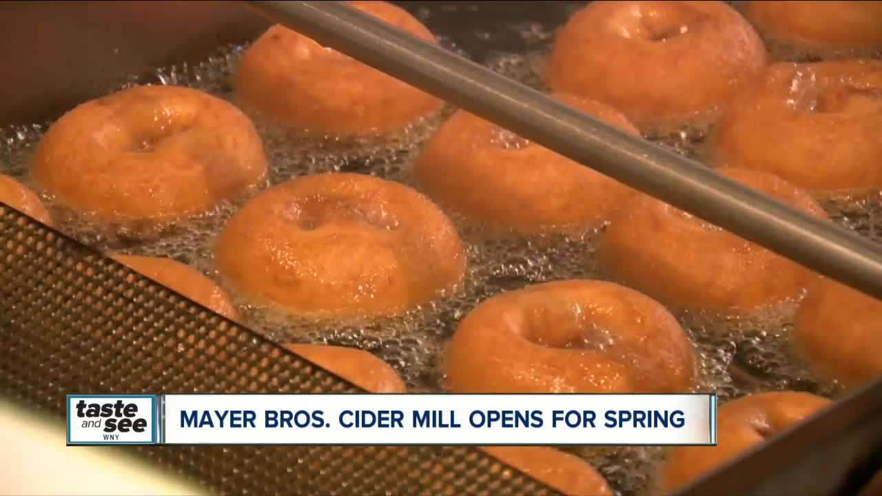 Mayer Bros. Cider Miller opens for the spring!