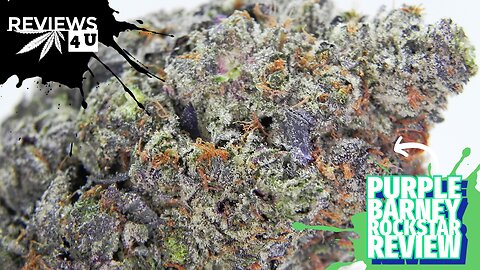 PURPLE BARNEY ROCKSTAR REVIEW | REVIEWS 4 U