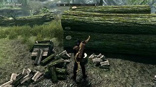 Skyrim #37