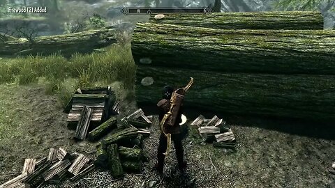 Skyrim #37