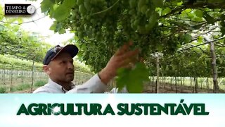 Agricultura Sustentável - com Frederico Olivi