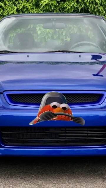 Funny meme video 😭