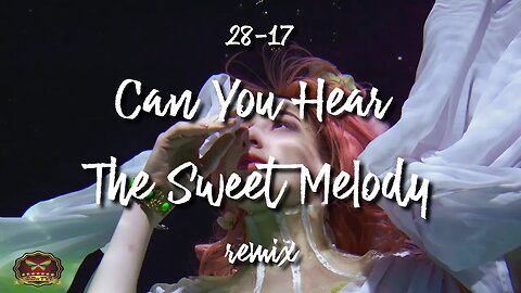 28-17 Can You Hear The Sweet Melody Remix (OFFICIAL MUSIC VIDEO)