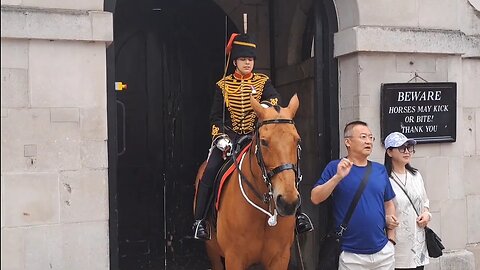 Ahh yanks the reins away #horseguardsparade
