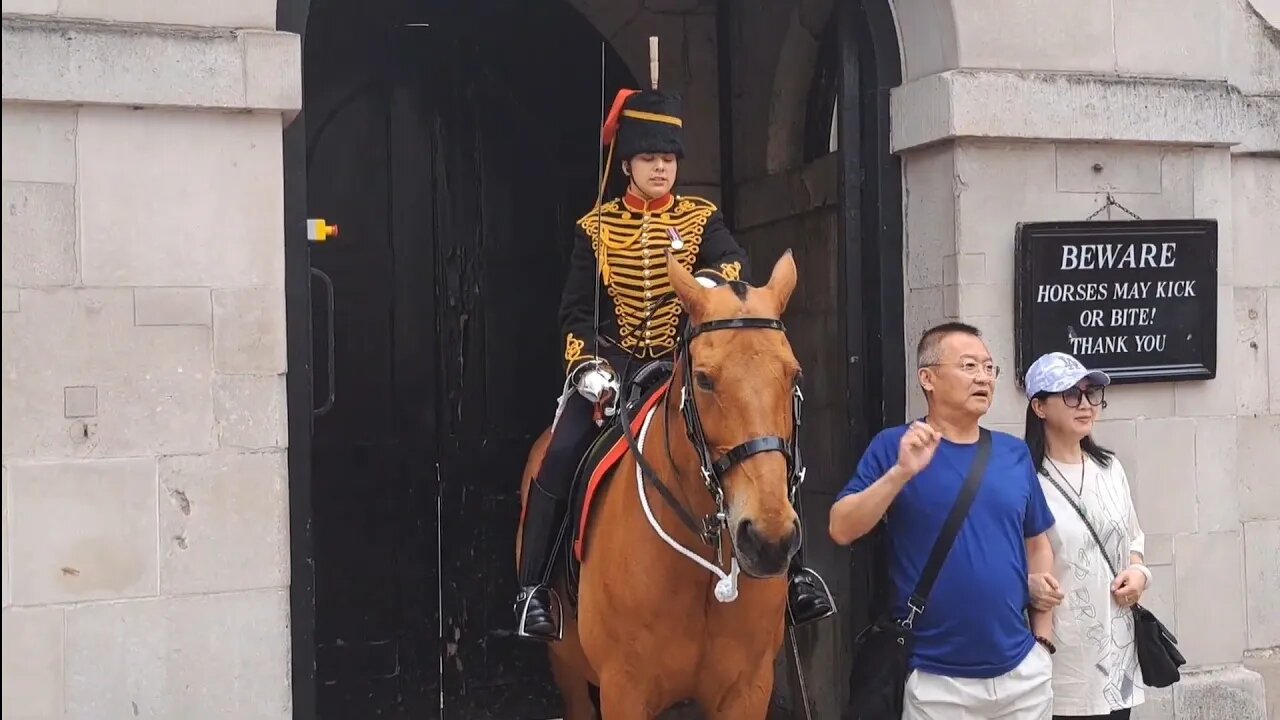 Ahh yanks the reins away #horseguardsparade