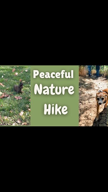 Peaceful Nature Hike