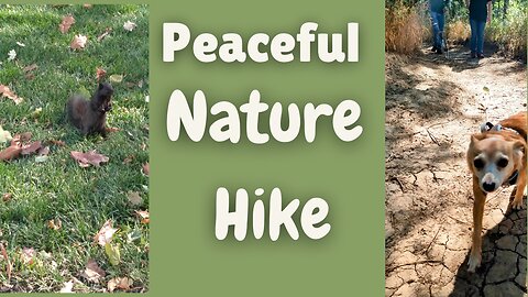 Peaceful Nature Hike