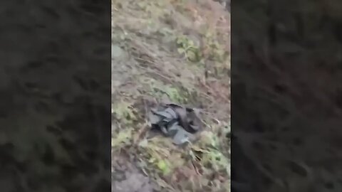 Abandoned Russian tanks