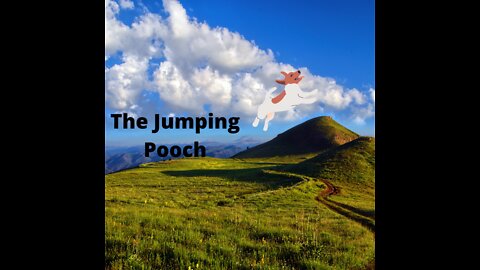 The Jumping Pooch