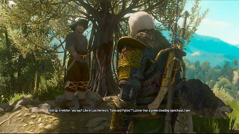 The Witcher 3 a knight tale