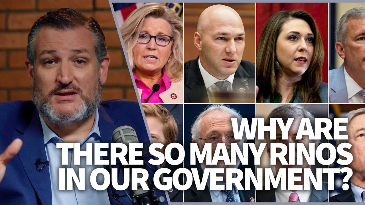 Why are there so many RINOs in our government?