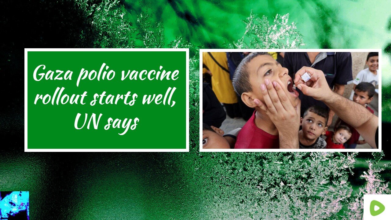 Gaza polio vaccine rollout starts well, UN says