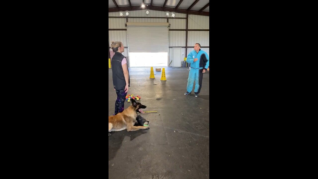 "Unbelievable Dog Training to Safeguard Women – You Have to See This!"