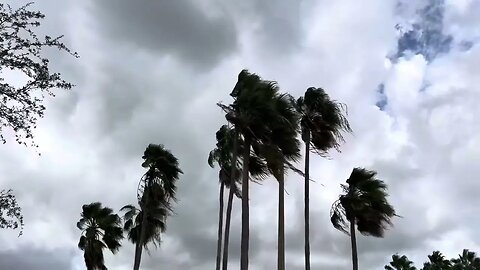 Hurricane Idalina is Coming! Florida City, Tuesday, 1 pm.