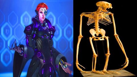 "moira is bones" - Overwatch