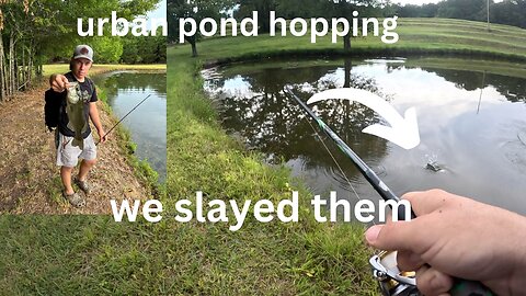 insane day pond hopping