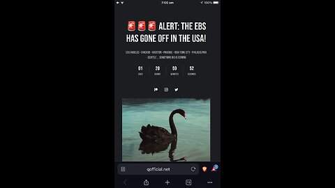 Q Clock Black Swan