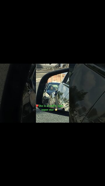 Street Scenes : Traffic Light Selfie Superstar