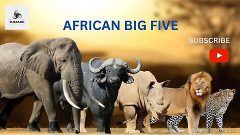 Big Five of Africa