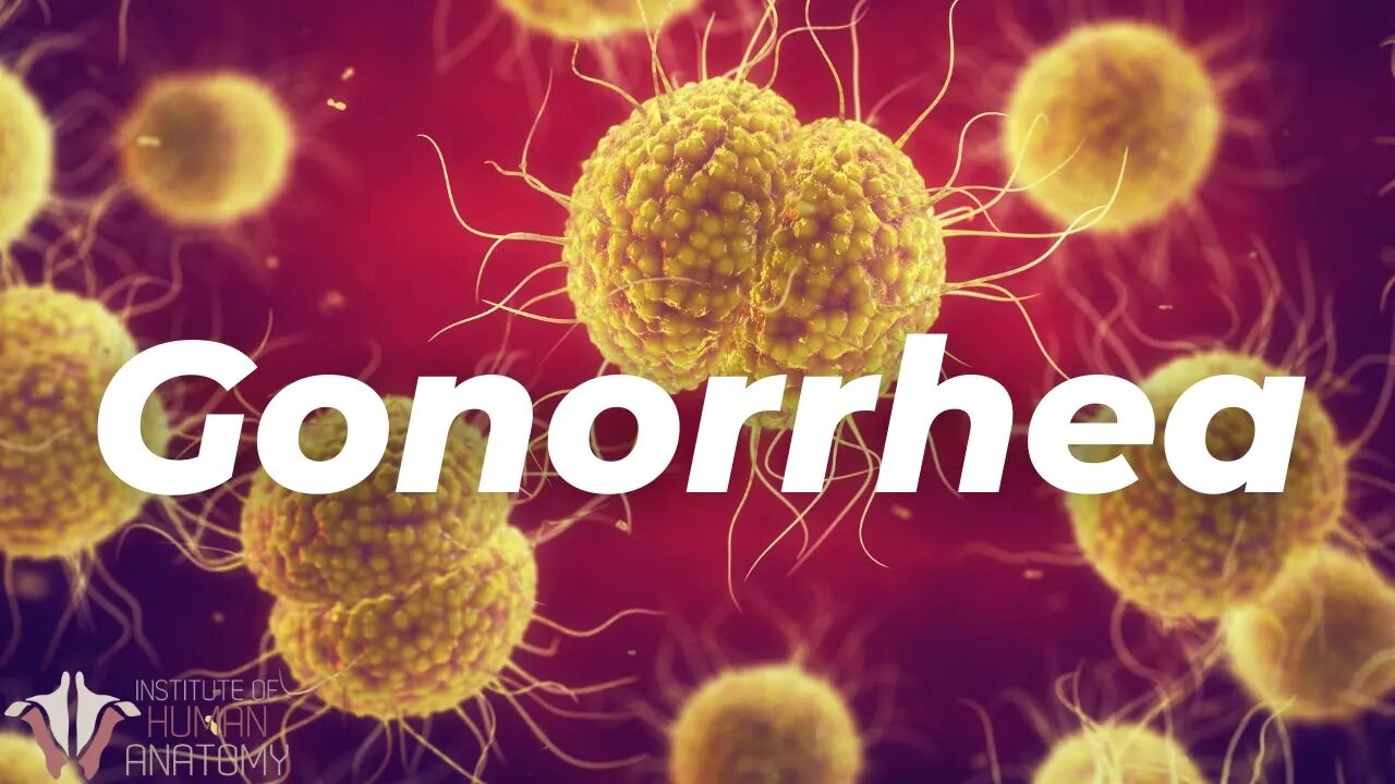 What Gonorrhea Does to Your Body