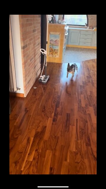 Damn you traction. Kick in already!!! 🤣🤣🤣🤣