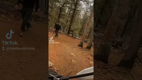 Do you stop for hikers going up hill?