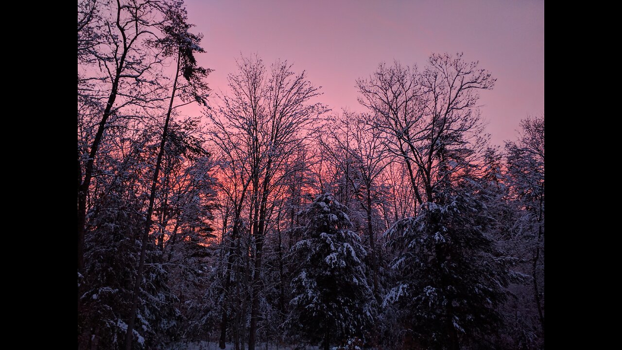 Sunrise