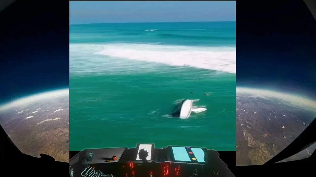 Stupid Boaters / Fails on Land / Stupid Drivers / Earth People Suck