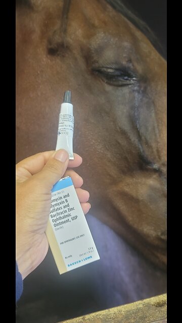 Oh Kai.... Mali Kai....tell us wat... you see...