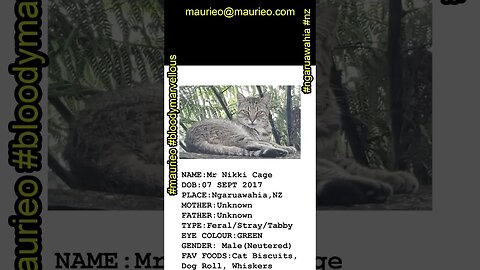 #maurieo #shorts MR NIKKI CAGE ALL POINTS BULLETIN