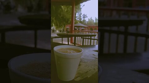 Saweron Ka mery❤ #tea #university #islamiauniversitybahawalpur #reviewwithhamza #song #bhediya