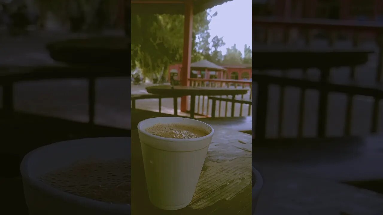 Saweron Ka mery❤ #tea #university #islamiauniversitybahawalpur #reviewwithhamza #song #bhediya