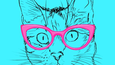 #shorts #The cat is wearing glasses