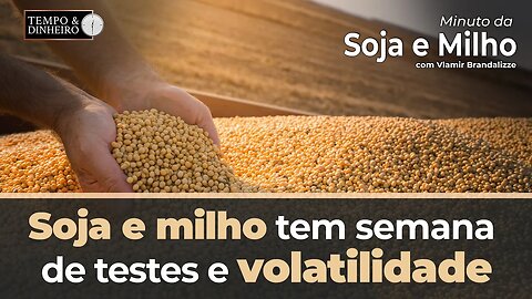 Soja e milho tem semana de testes e volatilidade. Acompanhe o que diz Brandalize