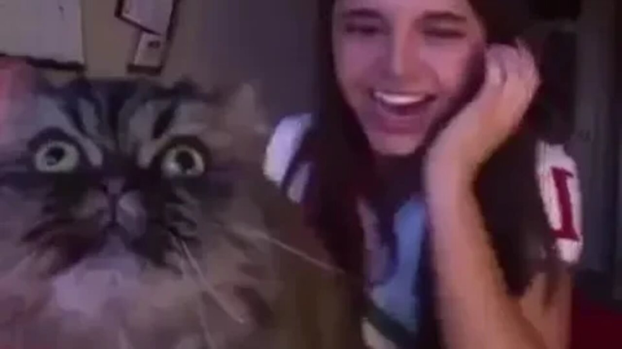 Eu canto melhor que você Márcia e posso provar