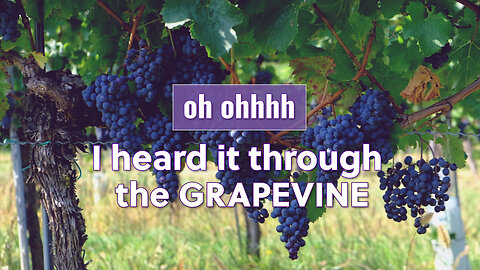 I heard it through the GRAPEVINE