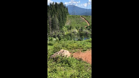 Mountain lake