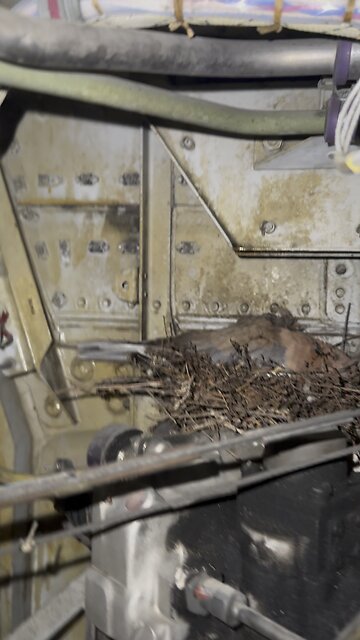 Always Check the LandIng Gear