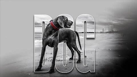 Unleash Your Creativity: Photoshop Tricks for Dog Poster Design