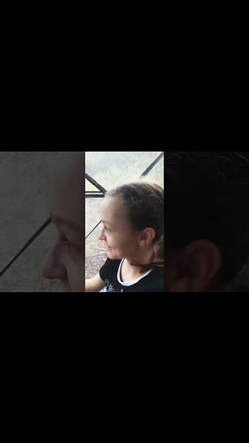 The not so amazing hunting dog