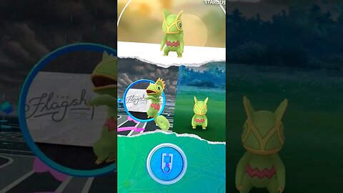 Kecleon CHEGOU!!! Aprenda como CAPTURAR o Kecleon no Pokémon GO! Plantar Medalha de Hoenn