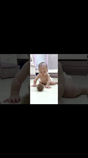 Most Amazing and trending video||relaxing your mind||trendig videos|| #shorts #trending #viral #live