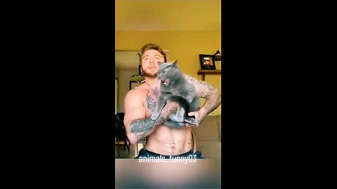 Animals funny #engracadostiktok #animaisengraçados #videosengracados #funny #funnyvideos