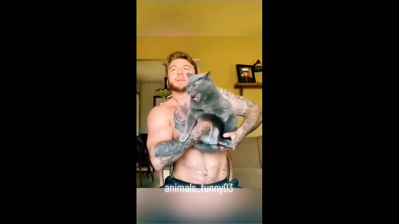 Animals funny #engracadostiktok #animaisengraçados #videosengracados #funny #funnyvideos