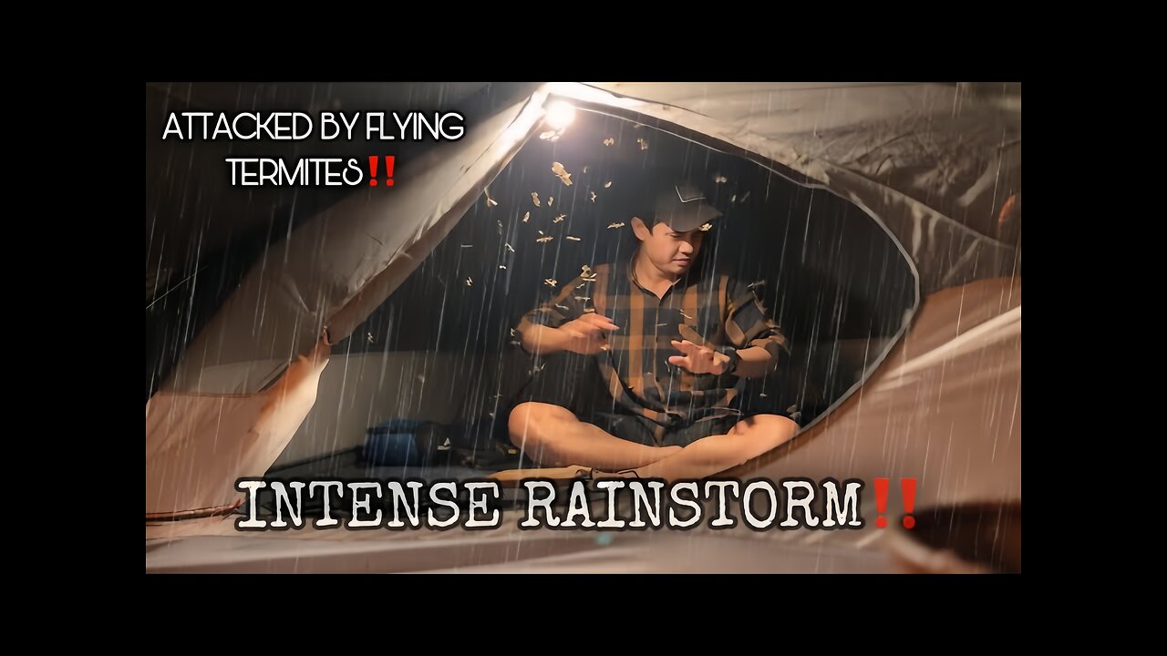 INTENSE HEAVY RAIN OVERNIGHT, ATTACKED BY FLYING TERMITES‼️SOLO CAMPING IN EXTREME RAINSTROM‼️