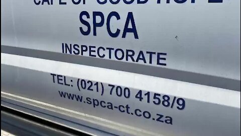 WATCH: SPCA exhumes dog ‘shot by soldier’, but SANDF claims video is 'fake news' (oQL)