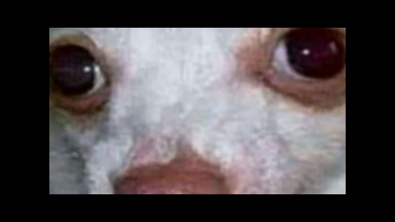 Smelling crack at work