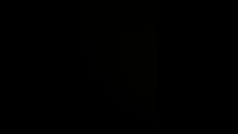 Election interference