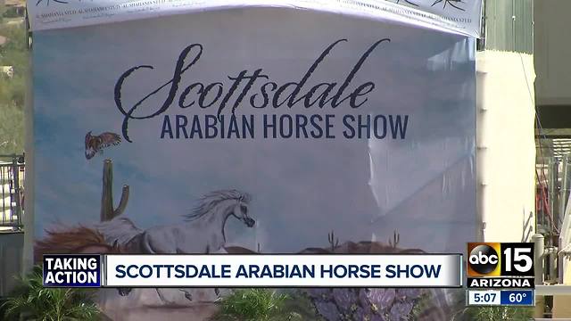 What to see at the Scottsdale Arabian Horse Show