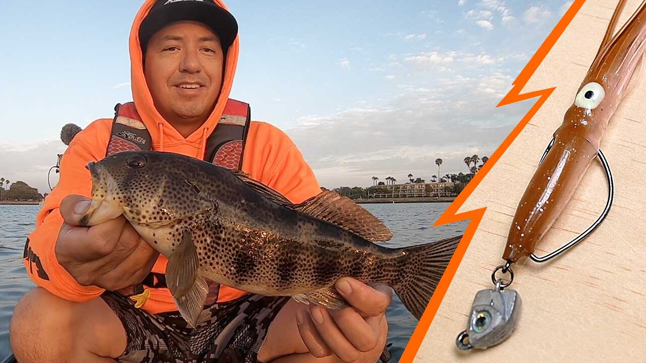 Squid Guy | Spotted Bay Bass | NECK BREAKER